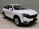 配1.6T/1.8T动力 观致7预计于下半年上市