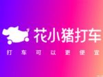 花小猪打车被多地叫停 涉及资质问题