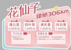 无锡“大众”思皓E10X+电池终身质保