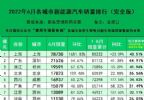 2022年6月全国城市新能源汽车销量排行榜