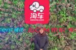 淘车90后“宝妈”为家立业，成就二手车销售“女强人”